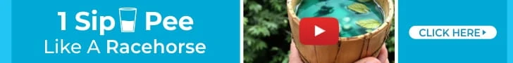 Prosta Peak 728x90 banner 1
